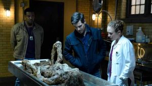 Обзор пятой серии шестого сезона сериала Гримм